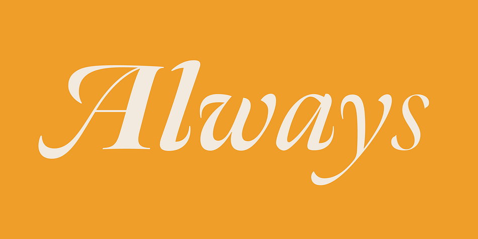 Displaying the beauty and characteristics of the Meno Banner font family.